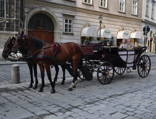 Pferdekutschenfahrt-cu-fiakerbetrieb-wien-cu-fiakerbetrieb-carriages-queercitypass-citypass-vienna-wien